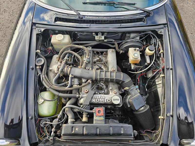 ALFA ROMEO SPIDER